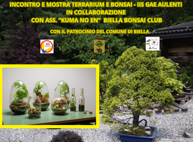 Terrarium.png